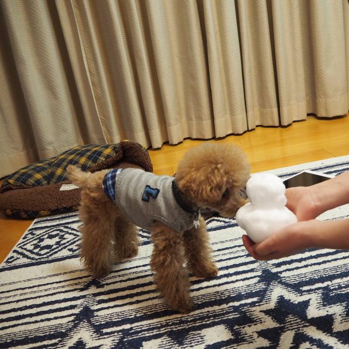 94723ee3 7827 4e7b 8541 0b587534e2b1 1516631848498