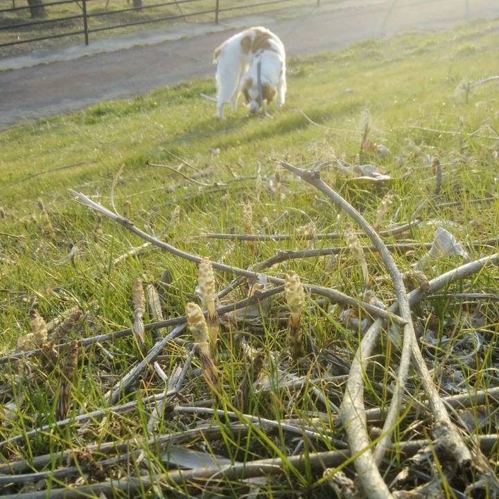 94728b44 bec0 486a a849 f3ca2c5f935b 1548245857395