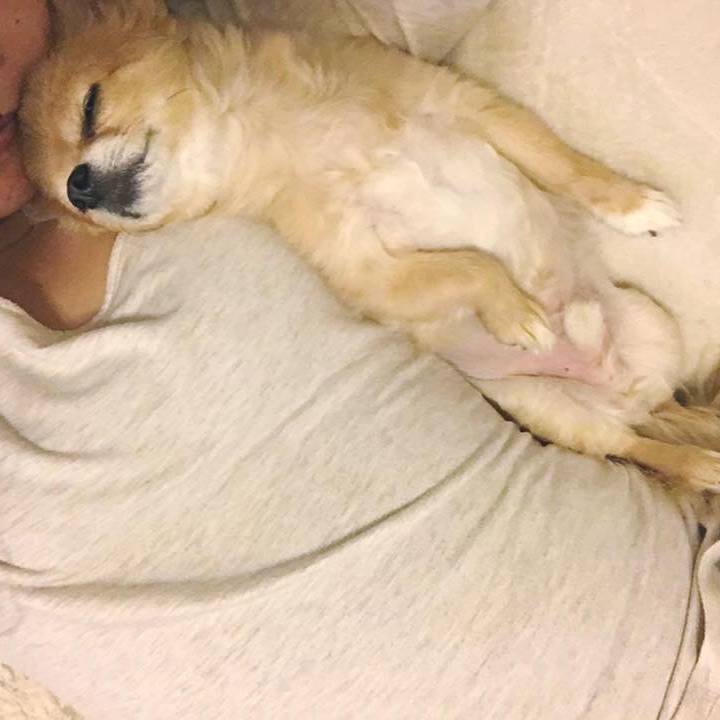 9472b9b0 d692 484a 8f08 05d677a945b9 1555081895746