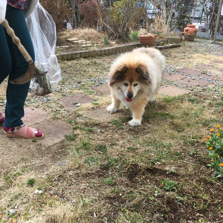 9472be7b b904 45e8 969d 189da702bb3e 1552549168057