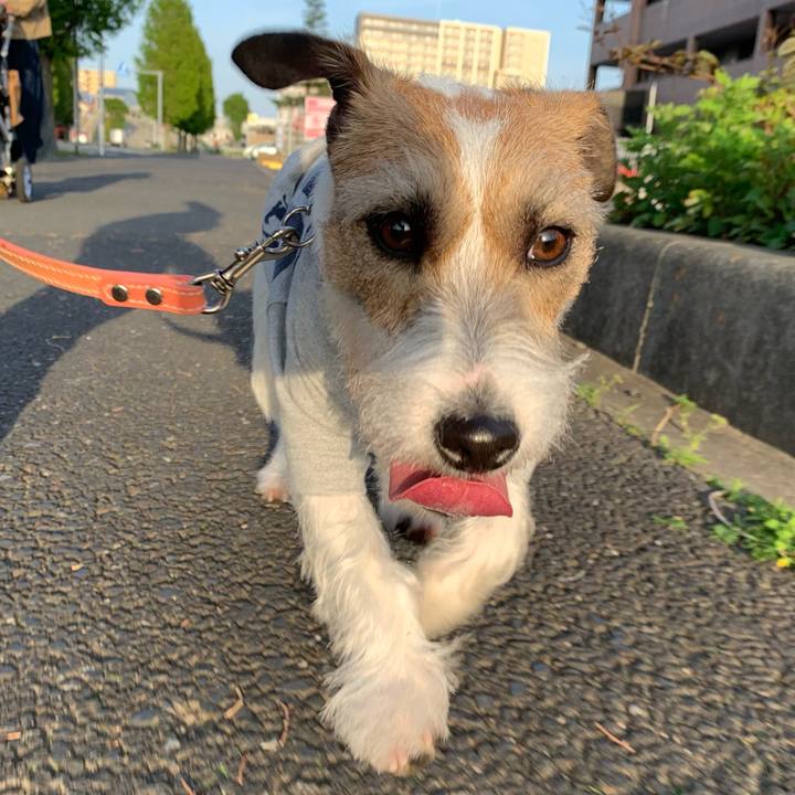 9472d204 7fbd 4f81 851b 971c008302d6 1619266555894