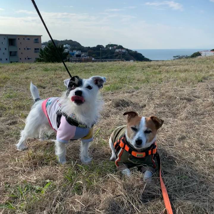 9472e34a 32a0 43bd bfe7 b9078f154d8f 1637113113283