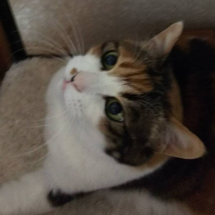 9472fea7 3744 4d2b 805b 7a1d5dfc45aa 1554328043456