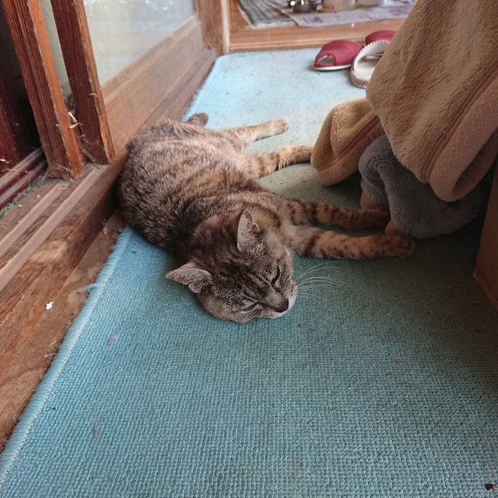 94731b20 986c 47fb 9d58 2e4dc04a6f46 1598426789757