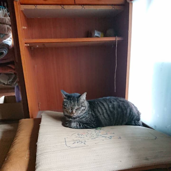 947369e5 b966 4051 8533 823f0ee27a9c 1661839818541