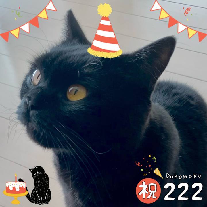 94738d1d 3811 4e53 a4af 47f0f2f7fda4 1645499885252