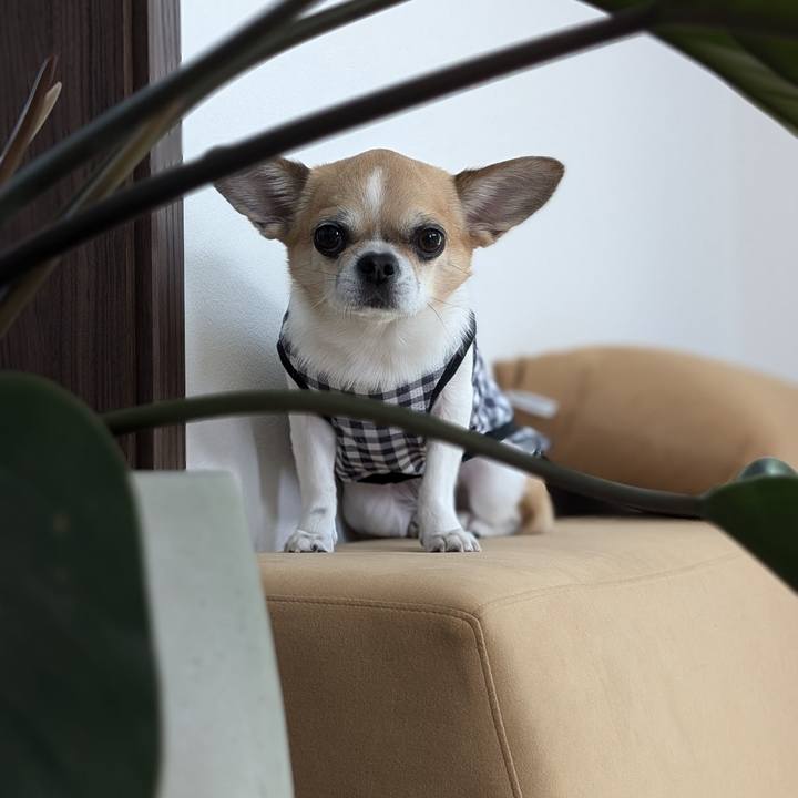 9473d8b1 579d 4eca a98b 5d68410e3e4a 1718956783786