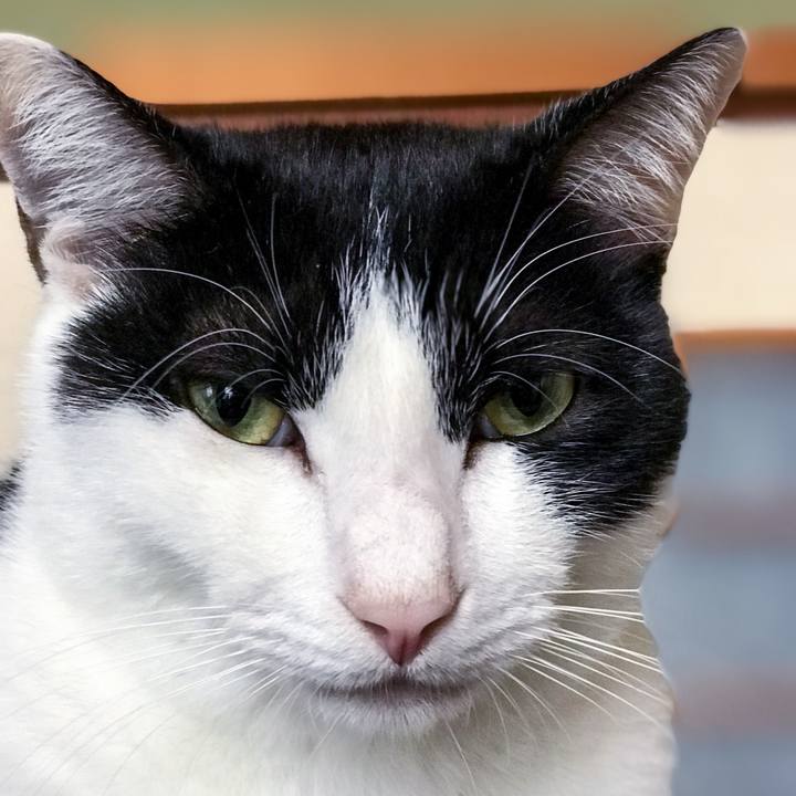 94740a9e 72bf 429e bdb4 1dde49ae62c0 1509241867911