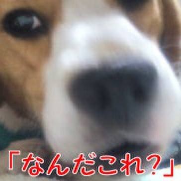 94741825 34c3 4f5e a7f3 374d7aae3a70 1713917107031