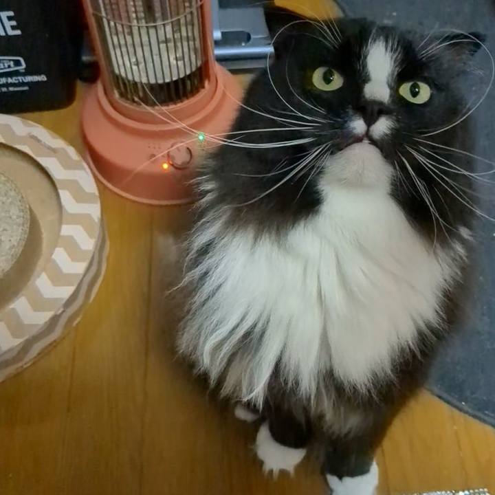 94742214 7b6a 4265 a13d 9ddd667e5823 1707555489971