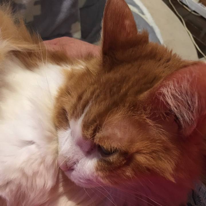 94744886 655c 42eb 814d 161dc182dc12 1572876488188