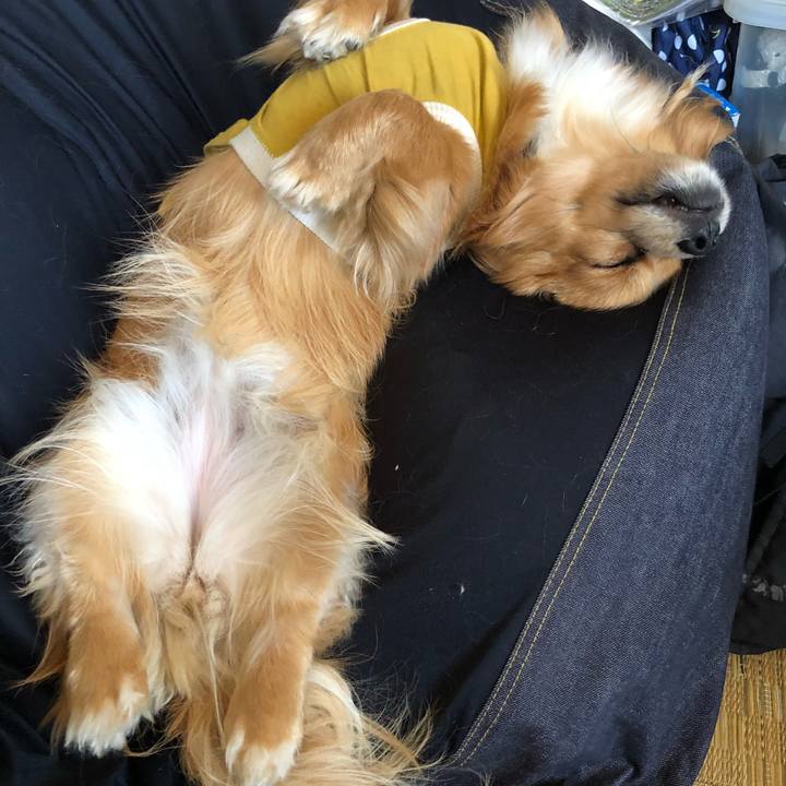 94745127 1b49 4de5 9619 196379ae2a10 1525503712108