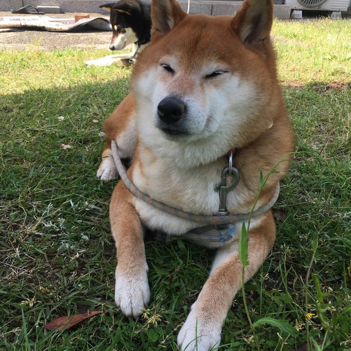 94746b08 3510 4d45 88cb 88bec33da3b0 1620539237355