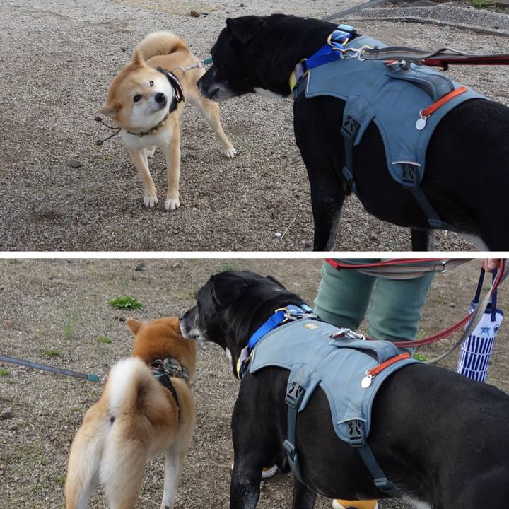 9474b9ed edb8 49f6 a8e5 8bdd974c8a28 1743983018550