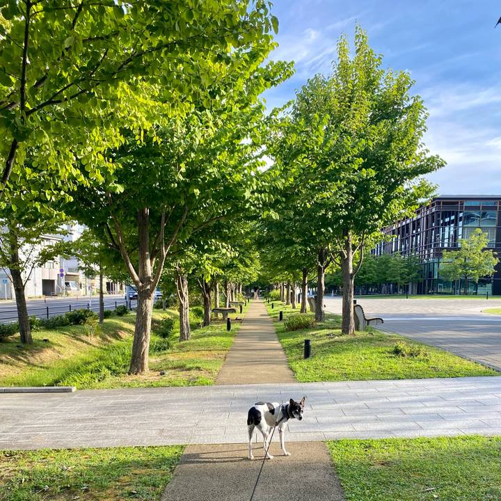 9474c059 b011 4f7b 85df 01cee845f619 1628640122922