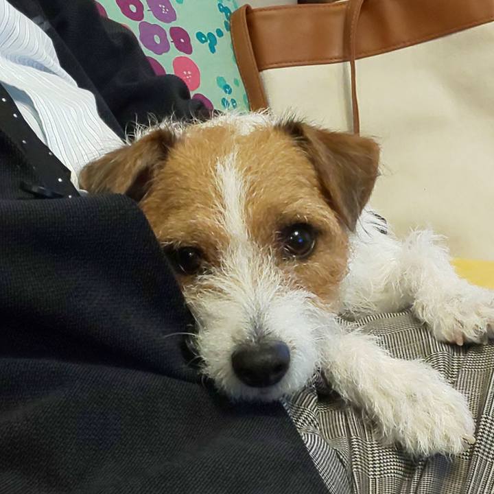 9474db2c 94ca 4e85 a631 0cfe8f351296 1574286578329