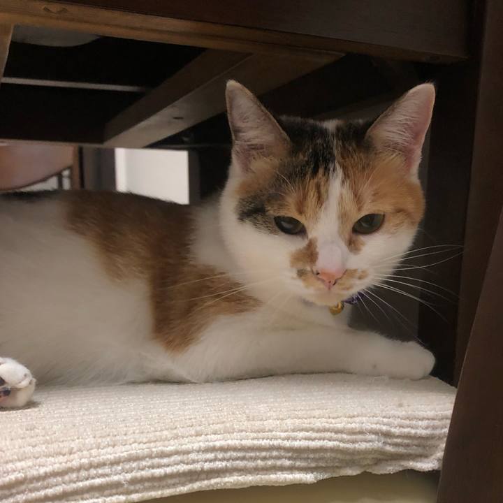 94753a02 e57b 4584 9530 16b0c2523ce5 1603371878470