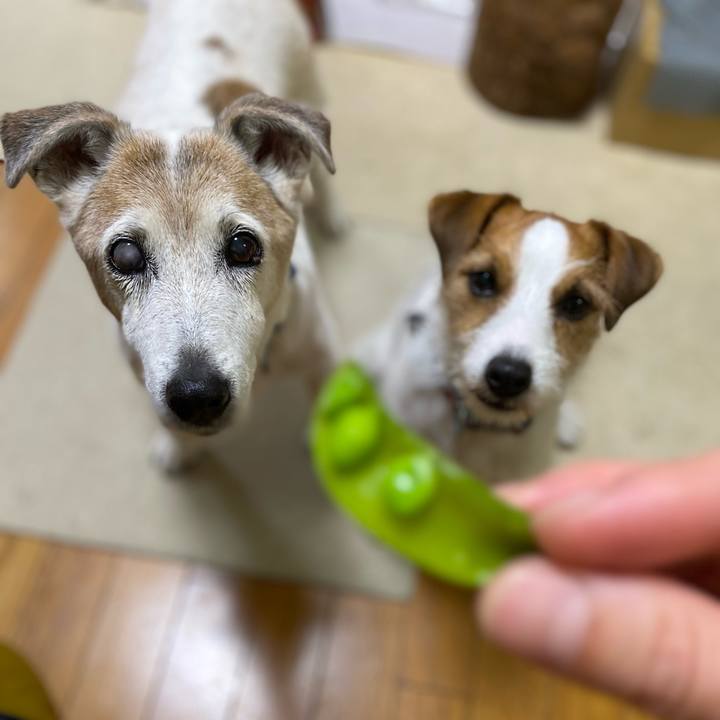 94755b7f 17cb 47fa b4d0 1ed8a6b08589 1682768571149