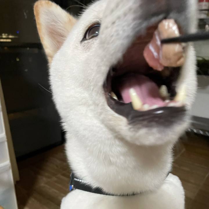 947567b8 58d8 4afc 8eb3 0bb1a35179a2 1624968121812