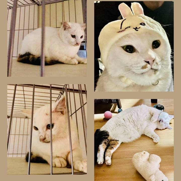 9475c831 d7ba 40eb bf55 fc52f9bb3f96 1761778109139