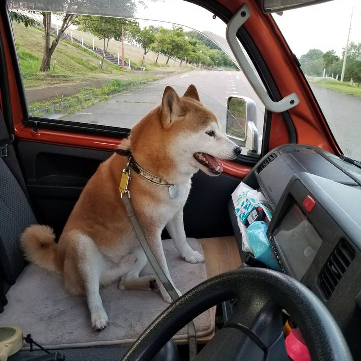 9476072d 7ea6 4a34 9df7 294c0e575b9d 1623922168837