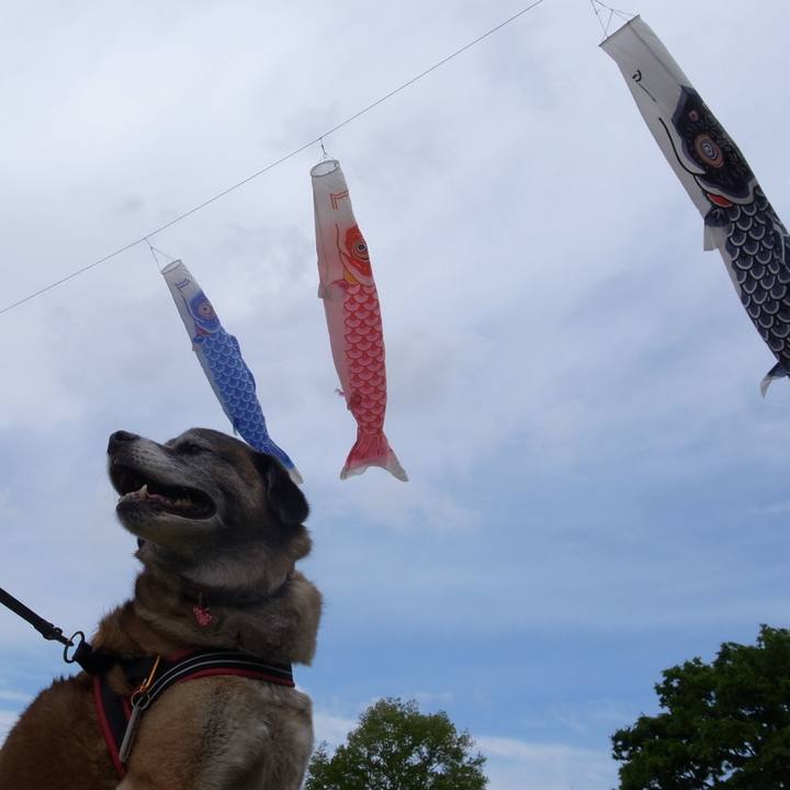 94761efa 90d8 4af5 84bb f8608e397f02 1606003348866