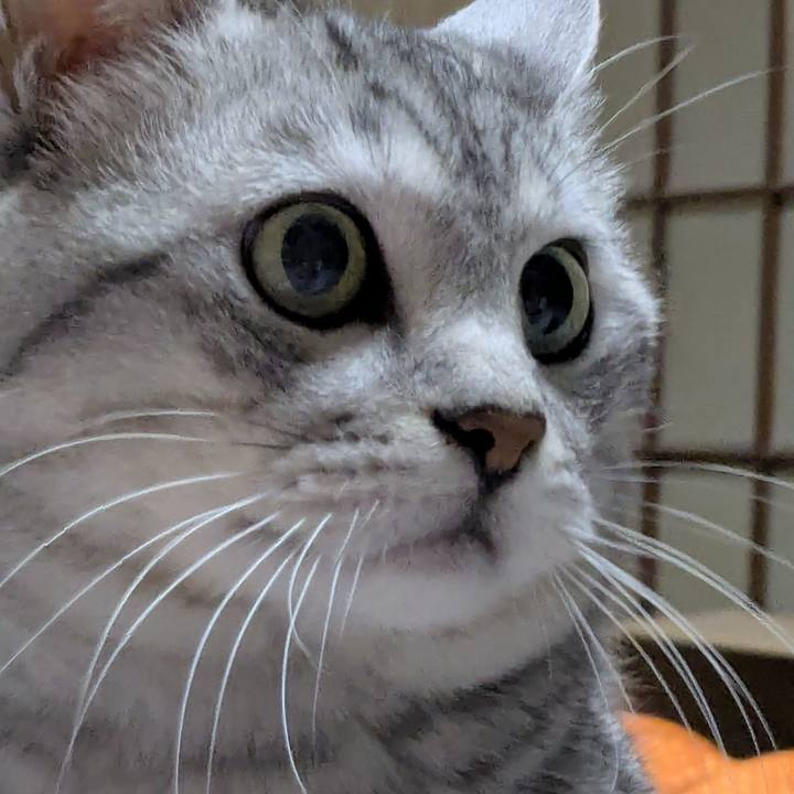 947632f4 64b0 4c07 82e0 229f8c031851 1772207460527