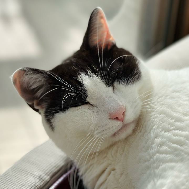 947662a1 df9e 47ec 804c 6bf38ea114a6 1679968984915