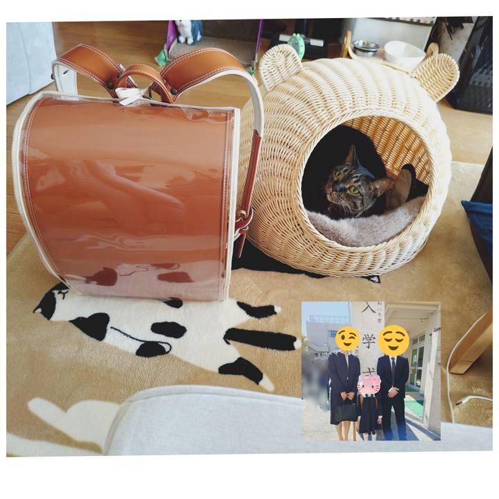 94767199 5506 4680 9ad2 328daf02e11e 1775631153100