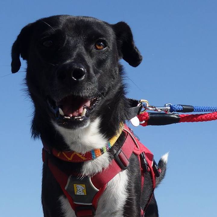 94767fb7 5fdc 4448 a03f ca2577be08c2 1586824042990