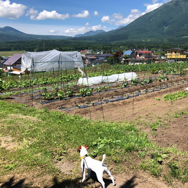 947712b5 9933 4302 a81c 93af876b29dc 1529406253233