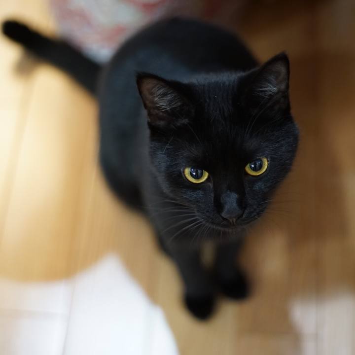 94772d9e 3f57 4728 a991 f91333fdae45 1530833798995