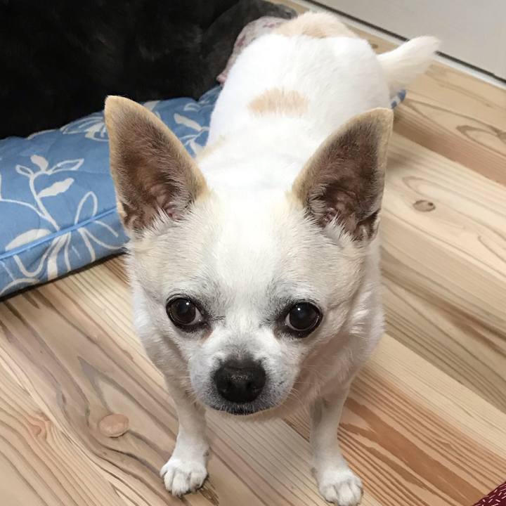 9477485b 250c 4c87 bf81 31497ea8ab71 1601214891424