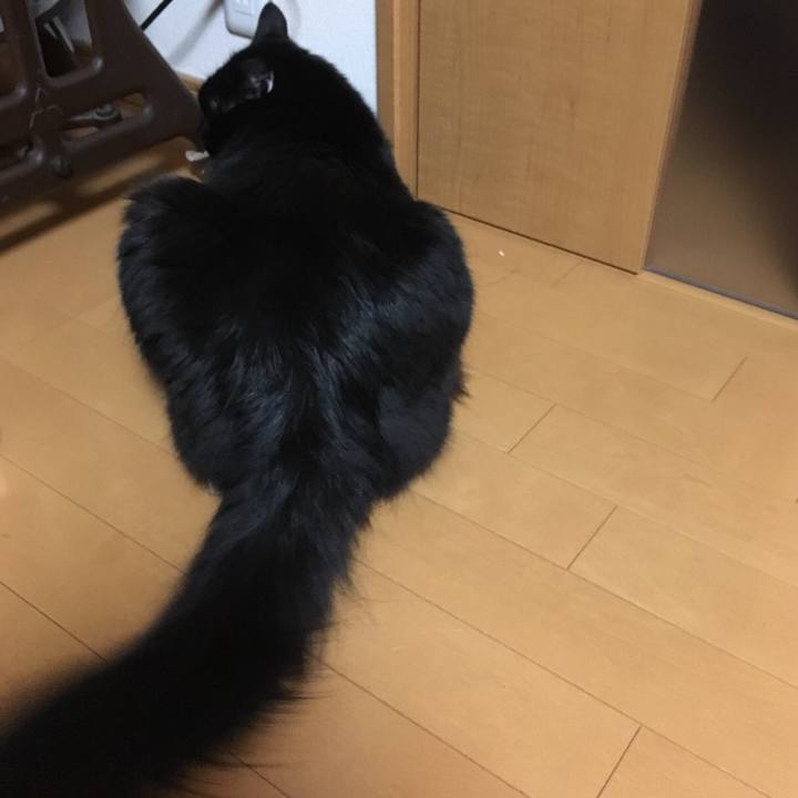 94774e06 d264 4a11 a966 54de2f8095b4 1514460302232