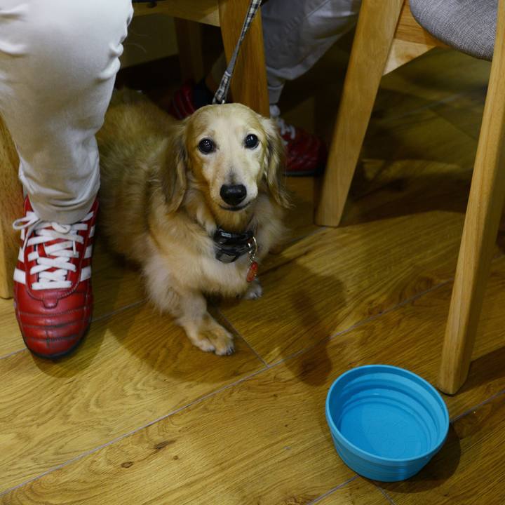 94775f26 7d71 489b 97de 31598020a2b3 1535378737693