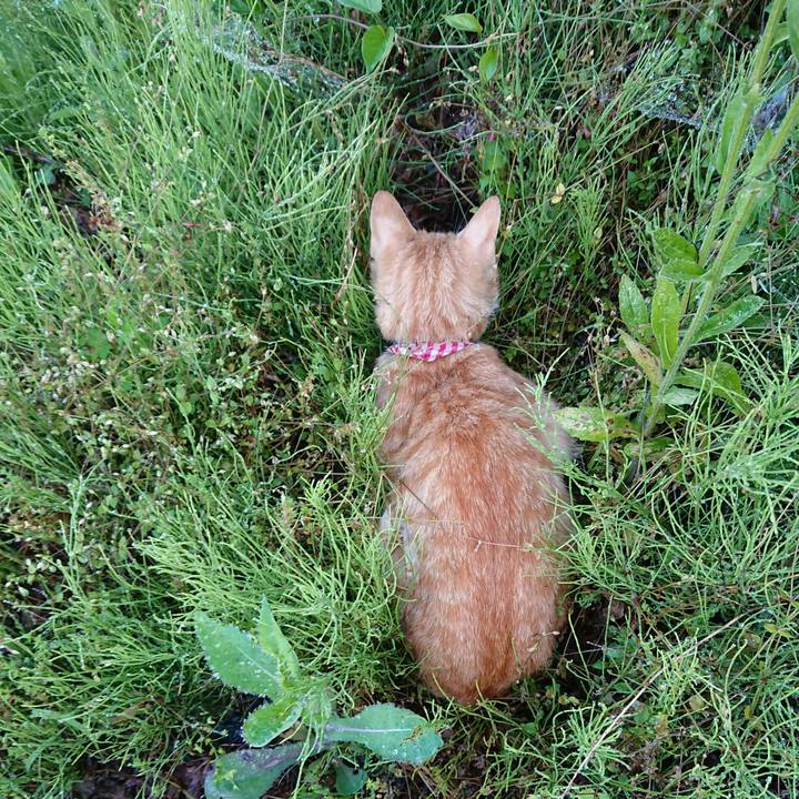 9477608f 2416 4aaa 87fe e5fb14fff7ff 1559982880497