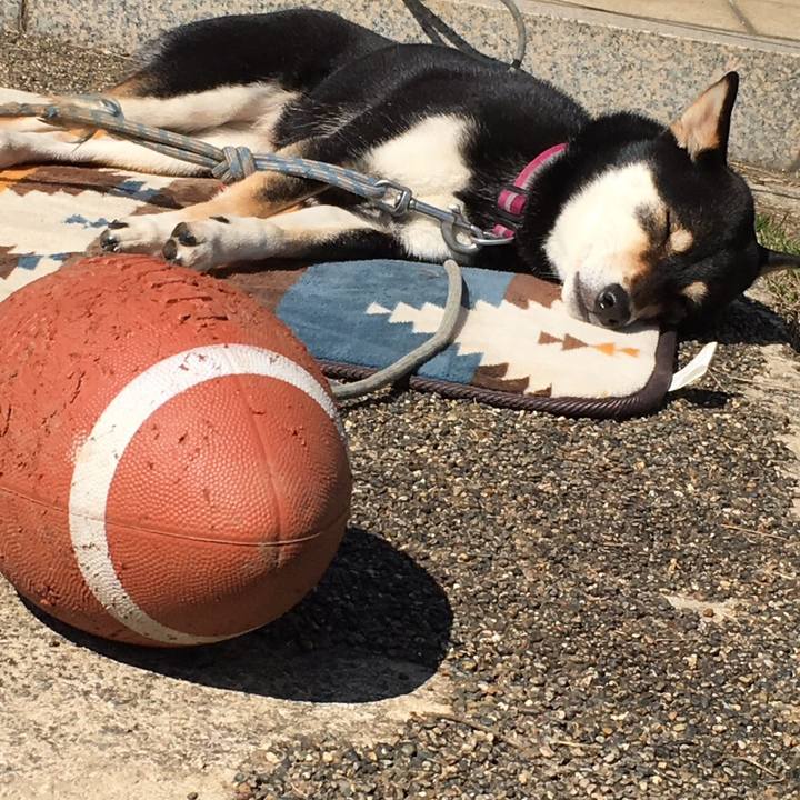 94779222 eee1 45d6 b4cd 3dfc4e63dd31 1551526670799