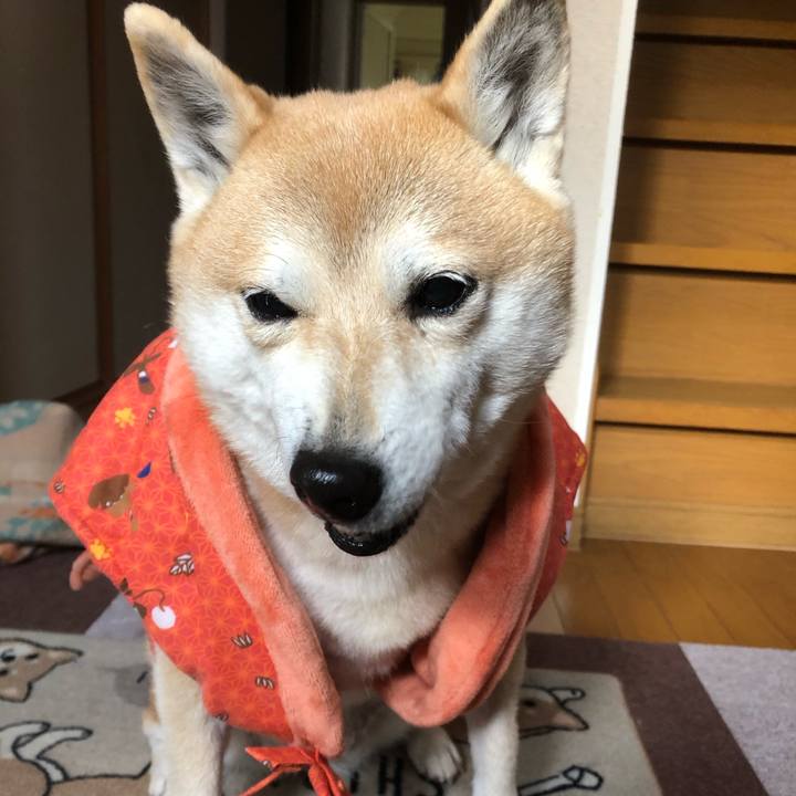 9477af1d 75e0 45f7 bb26 6a424a27e658 1581088236582