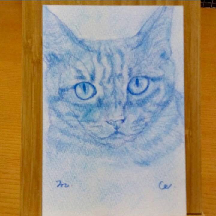 9477bf24 2e5f 4d7c b40f 2f5da3fe93eb 1548112392747