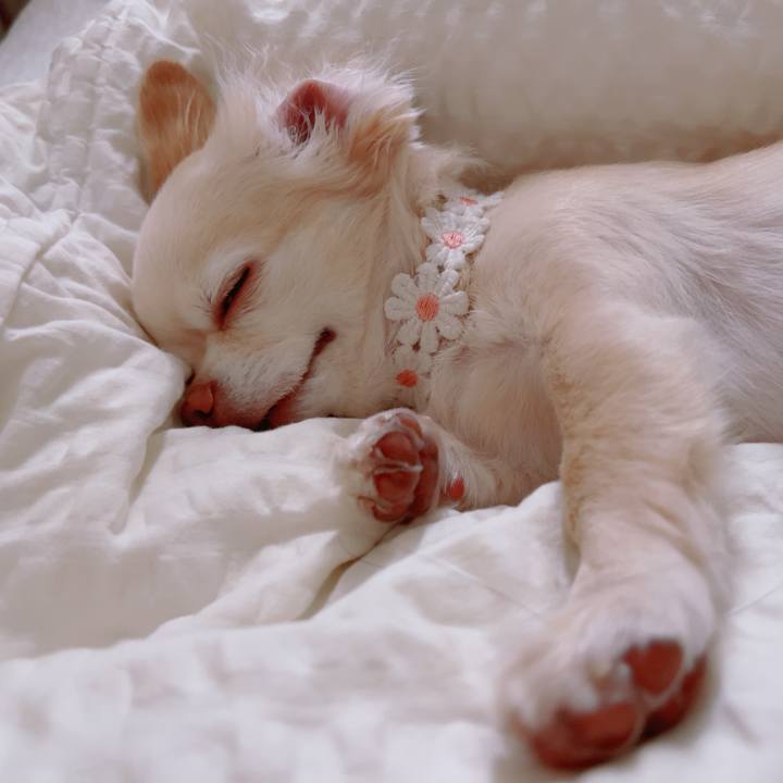 9477c2ed 5380 4e04 8ea1 369596050114 1759138220277