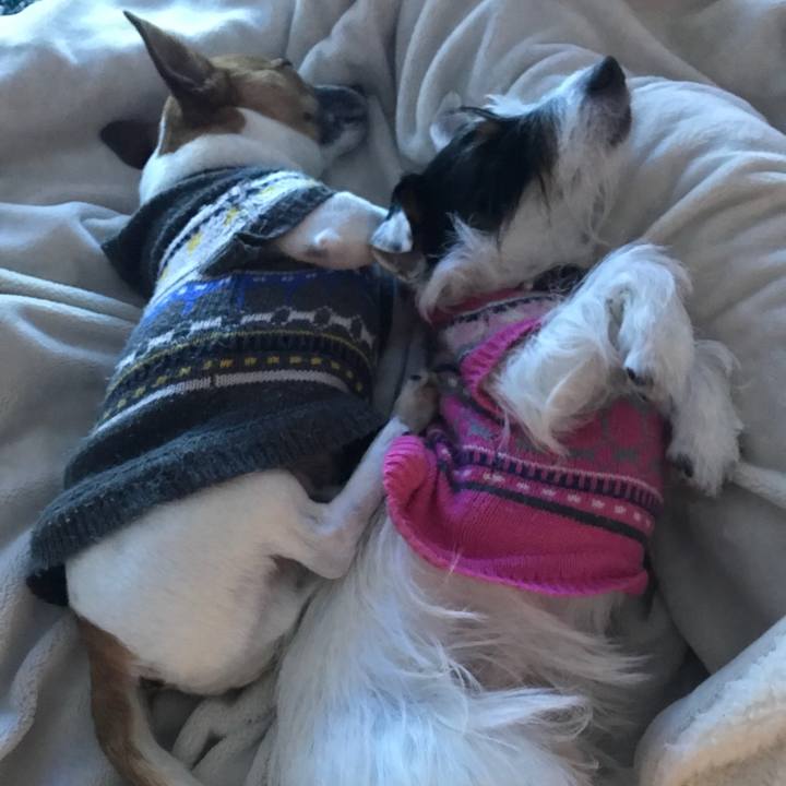 9477d08d 05ce 42eb 8cfc 3ecc47eb9245 1517065719232