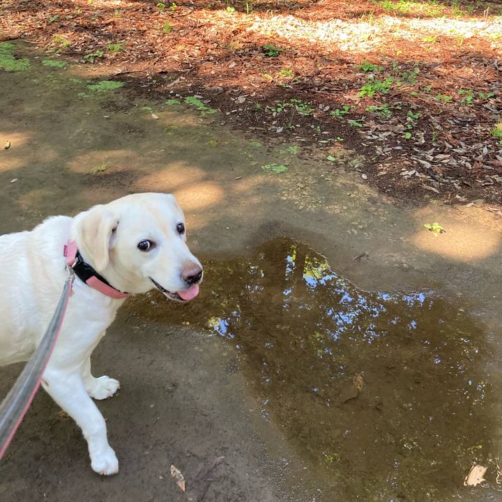 9477f23f 79ae 41b8 b8d4 93c372251ea1 1748994785122