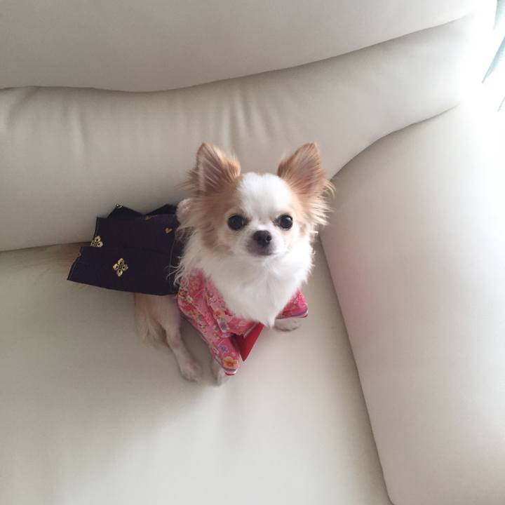 9477f462 408f 48ca b1be 817eae24e8a1 1546493714989