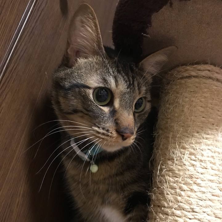 9477f66e 36c3 49c5 b573 191397cedb21 1546013391256