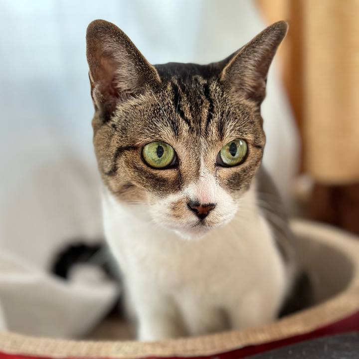 9478027b 501c 45be ae18 1f21b81048ce 1664762786255