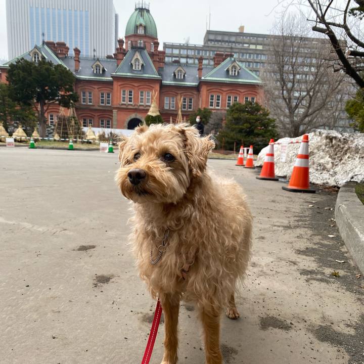 947807e5 9694 46a9 ae4f 0e72a548fd0e 1649556412347