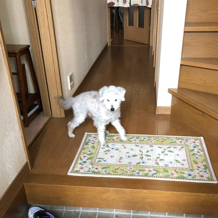 9478344f 1c65 4d6d 8e25 9e151012da94 1647994733530