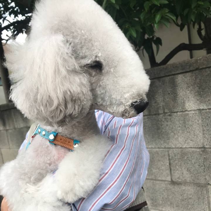 9478429c fdda 41e4 ab6e 14d5267de4b0 1661072681647