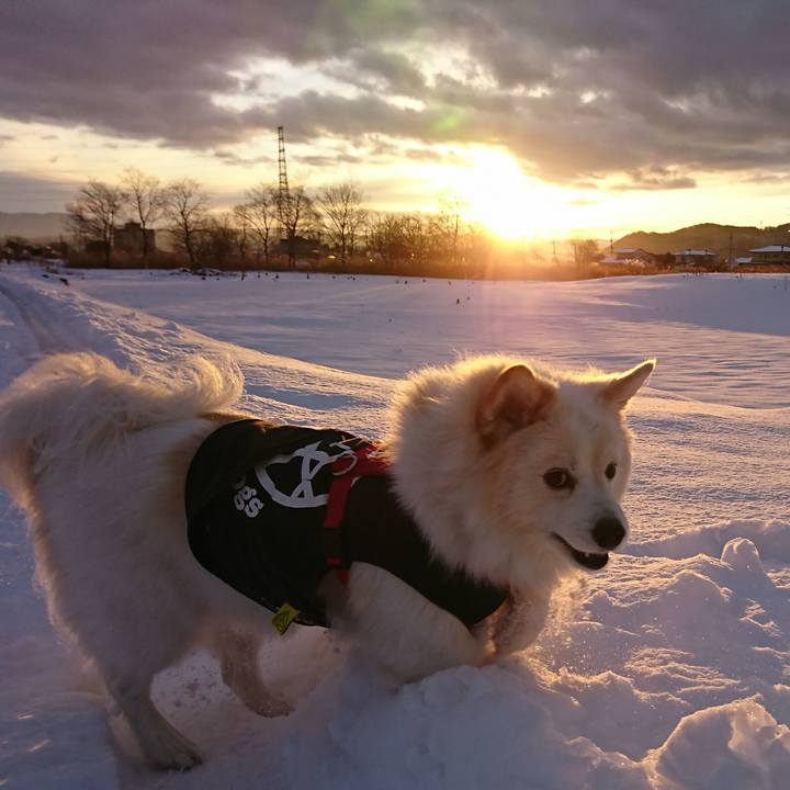 94786bc2 a345 4855 bede dfa62bc90668 1515104490818