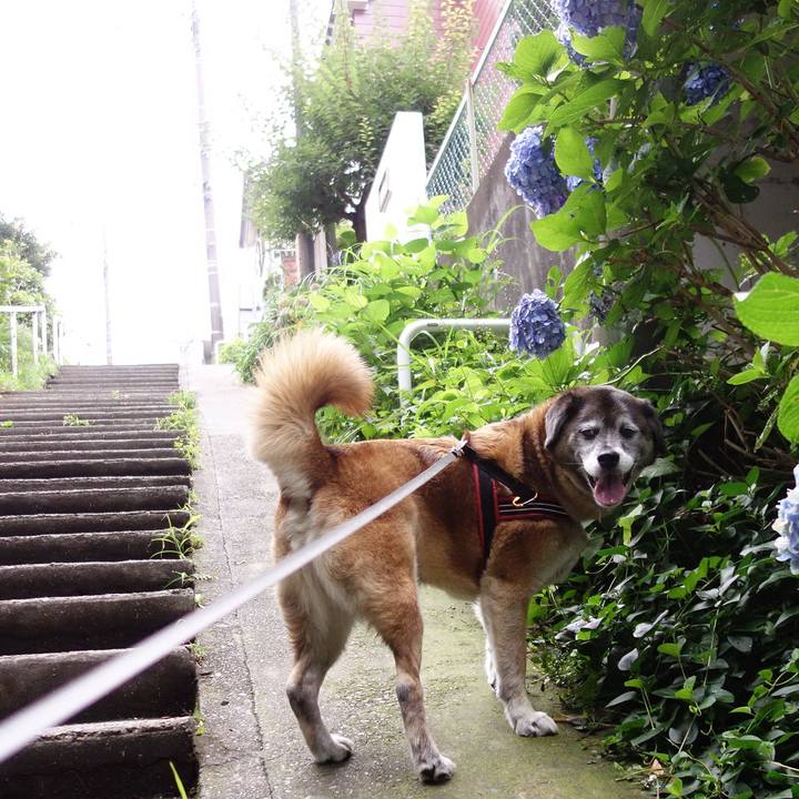 94786c24 d04d 4c06 a778 8dc291cff345 1562986309698